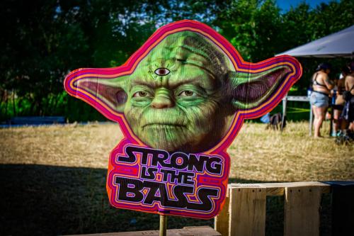 080-PicnicRoyal-Festival-2022-TheAllSeeingProductions-strong-is-the-bass