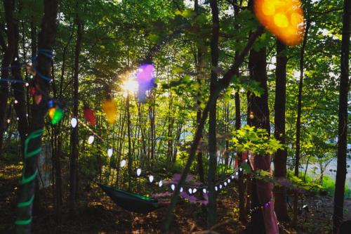 51-Fora-PicnicRoyal-Festival-2022-JusteJu fora foret enchantée forest